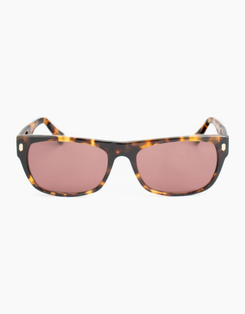 Belstaff HUDSON-S184 GLASSES